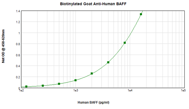 BAFF / TNFSF13B Antibody - Biotinylated Anti-Human BAFF Sandwich ELISA