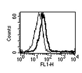 BAFF / TNFSF13B Antibody - Detection of endogenous human BAFF using anti-BAFF (h) mAb (1-35-1). Method: Neutrophils (CD15+) were stained with BAFF (h), mAb (1-35-1) (thick line) or an isotype control (thin line) at 10 ug /ml each, revealed with a secondary antibody and then analyzed by flow cytometry.