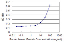 BAFF / TNFSF13B Antibody - Detection limit for recombinant GST tagged TNFSF13B is 3 ng/ml as a capture antibody.