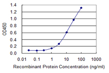 BAFF / TNFSF13B Antibody - Detection limit for recombinant GST tagged TNFSF13B is 0.3 ng/ml as a capture antibody.