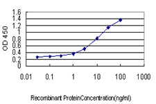 BAG1 / BAG-1 Antibody - Detection limit for recombinant GST tagged BAG1 is approximately 0.03 ng/ml as a capture antibody.