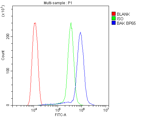 BAK1 / BAK Antibody - Flow Cytometry analysis of THP-1 cells using anti-BAK antibody. Overlay histogram showing THP-1 cells stained with anti-BAK antibody (Blue line). The cells were blocked with 10% normal goat serum. And then incubated with rabbit anti-BAK Antibody (1µg/10E6 cells) for 30 min at 20°C. DyLight®488 conjugated goat anti-rabbit IgG (5-10µg/10E6 cells) was used as secondary antibody for 30 minutes at 20°C. Isotype control antibody (Green line) was rabbit IgG (1µg/10E6 cells) used under the same conditions. Unlabelled sample (Red line) was also used as a control.