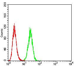 BAK1 / BAK Antibody - Flow cytometric analysis of Hela cells using BAK1 mouse mAb (green) and negative control (red).