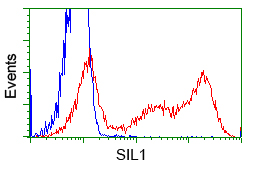 BAP / SIL1 Antibody - HEK293T cells transfected with either pCMV6-ENTRY SIL1 (Red) or empty vector control plasmid (Blue) were immunostained with anti-SIL1 mouse monoclonal, and then analyzed by flow cytometry.