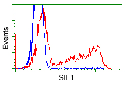BAP / SIL1 Antibody - HEK293T cells transfected with either pCMV6-ENTRY SIL1 (Red) or empty vector control plasmid (Blue) were immunostained with anti-SIL1 mouse monoclonal, and then analyzed by flow cytometry.