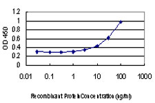 BARD1 Antibody - Detection limit for recombinant GST tagged BARD1 is approximately 3 ng/ml as a capture antibody.