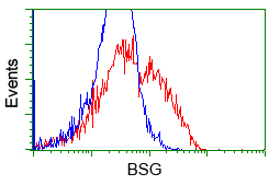 Basigin / Emmprin / CD147 Antibody - HEK293T cells transfected with either overexpress plasmid (Red) or empty vector control plasmid (Blue) were immunostained by anti-BSG antibody, and then analyzed by flow cytometry.