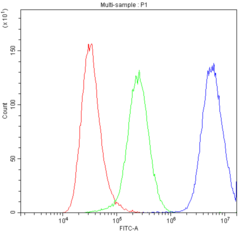 Basigin / Emmprin / CD147 Antibody - Flow Cytometry analysis of A549 cells using anti-Human CD147/Emmprin antibody. Overlay histogram showing A549 cells stained with anti-Human CD147/Emmprin antibody (Blue line). The cells were blocked with 10% normal goat serum. And then incubated with rabbit anti-Human CD147/Emmprin Antibody (1µg/10E6 cells) for 30 min at 20°C. DyLight®488 conjugated goat anti-rabbit IgG (5-10µg/10E6 cells) was used as secondary antibody for 30 minutes at 20°C. Isotype control antibody (Green line) was rabbit IgG (1µg/10E6 cells) used under the same conditions. Unlabelled sample (Red line) was also used as a control.