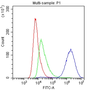 Basigin / Emmprin / CD147 Antibody - Flow Cytometry analysis of A549 cells using anti-CD147/Emmprin antibody. Overlay histogram showing A549 cells stained with anti-CD147/Emmprin antibody (Blue line). The cells were blocked with 10% normal goat serum. And then incubated with rabbit anti-CD147/Emmprin Antibody (1µg/1x106 cells) for 30 min at 20°C. DyLight®488 conjugated goat anti-rabbit IgG (5-10µg/1x106 cells) was used as secondary antibody for 30 minutes at 20°C. Isotype control antibody (Green line) was rabbit IgG (1µg/1x106) used under the same conditions. Unlabelled sample (Red line) was also used as a control.