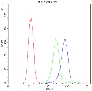 BAX Antibody - Flow Cytometry analysis of A431 cells using anti-BAX antibody. Overlay histogram showing A431 cells stained with anti-BAX antibody (Blue line). The cells were blocked with 10% normal goat serum. And then incubated with rabbit anti-BAX Antibody (1µg/10E6 cells) for 30 min at 20°C. DyLight®488 conjugated goat anti-rabbit IgG (5-10µg/10E6 cells) was used as secondary antibody for 30 minutes at 20°C. Isotype control antibody (Green line) was rabbit IgG (1µg/10E6 cells) used under the same conditions. Unlabelled sample (Red line) was also used as a control.