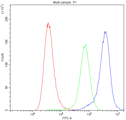 BAX Antibody - Flow Cytometry analysis of A549 cells using anti-Bax antibody. Overlay histogram showing A549 cells stained with anti-Bax antibody (Blue line). The cells were blocked with 10% normal goat serum. And then incubated with rabbit anti-Bax Antibody (1µg/10E6 cells) for 30 min at 20°C. DyLight®488 conjugated goat anti-rabbit IgG (5-10µg/10E6 cells) was used as secondary antibody for 30 minutes at 20°C. Isotype control antibody (Green line) was rabbit IgG (1µg/10E6 cells) used under the same conditions. Unlabelled sample (Red line) was also used as a control.