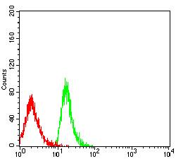 BCAM / CD239 Antibody - Flow cytometric analysis of MOLT4 cells using CD239 mouse mAb (green) and negative control (red).