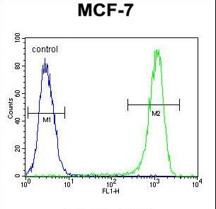 BCL10 / BCL-10 Antibody - BCL10 Antibody flow cytometry of MCF-7 cells (right histogram) compared to a negative control cell (left histogram). FITC-conjugated goat-anti-rabbit secondary antibodies were used for the analysis.