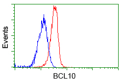 BCL10 / BCL-10 Antibody - Flow cytometric Analysis of Jurkat cells, using anti-BCL10 antibody, (Red), compared to a nonspecific negative control antibody, (Blue).