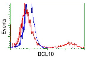 BCL10 / BCL-10 Antibody - HEK293T cells transfected with either overexpress plasmid (Red) or empty vector control plasmid (Blue) were immunostained by anti-BCL10 antibody, and then analyzed by flow cytometry.
