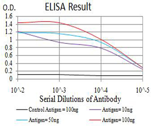 BCL11B Antibody - Black line: Control Antigen (100 ng);Purple line: Antigen (10ng); Blue line: Antigen (50 ng); Red line:Antigen (100 ng)