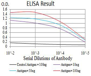 BCL11B Antibody - Black line: Control Antigen (100 ng);Purple line: Antigen (10ng); Blue line: Antigen (50 ng); Red line:Antigen (100 ng)