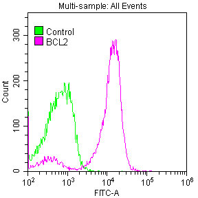 BCL2 / Bcl-2 Antibody - Overlay histogram showing Jurkat cells stained with BCL2 Antibody (red line) at 1:50. The cells were fixed with 70% Ethylalcohol (18h) and then permeabilized with 0.3% Triton X-100 for 2 min.The cells were then incubated in 1x PBS /10% normal goat serum to block non-specific protein-protein interactions followed by primary antibody for 1 h at 4?.The secondary antibody used was FITC goat anti-rabbit IgG (H+L) at 1/200 dilution for 1 h at 4?. Control antibody (green line) was used under the same conditions. Acquisition of >10,000 events was performed.