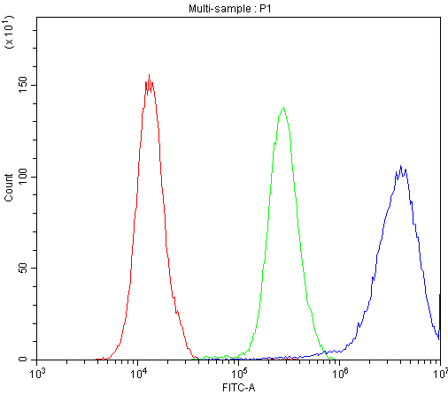 BCL2L1 / BCL-XL Antibody - Flow Cytometry analysis of PC-3 cells using anti-Bcl-XL antibody. Overlay histogram showing PC-3 cells stained with anti-Bcl-XL antibody (Blue line). The cells were blocked with 10% normal goat serum. And then incubated with rabbit anti-Bcl-XL Antibody (1µg/10E6 cells) for 30 min at 20°C. DyLight®488 conjugated goat anti-rabbit IgG (5-10µg/10E6 cells) was used as secondary antibody for 30 minutes at 20°C. Isotype control antibody (Green line) was rabbit IgG (1µg/10E6 cells) used under the same conditions. Unlabelled sample (Red line) was also used as a control.