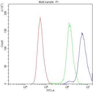 BCL2L1 / BCL-XL Antibody - Flow Cytometry analysis of PC-3 cells using anti-Bcl-X antibody. Overlay histogram showing PC-3 cells stained with anti-Bcl-X antibody (Blue line). The cells were blocked with 10% normal goat serum. And then incubated with rabbit anti-Bcl-X Antibody (1µg/10E6 cells) for 30 min at 20°C. DyLight®488 conjugated goat anti-rabbit IgG (5-10µg/10E6 cells) was used as secondary antibody for 30 minutes at 20°C. Isotype control antibody (Green line) was rabbit IgG (1µg/10E6 cells) used under the same conditions. Unlabelled sample (Red line) was also used as a control.