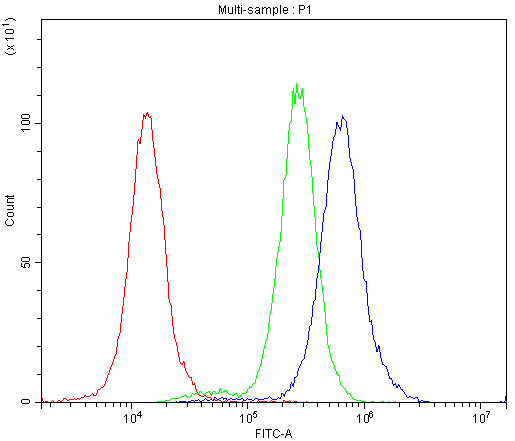 BCL2L1 / BCL-XL Antibody - Flow Cytometry analysis of A549 cells using anti-Bcl-X antibody. Overlay histogram showing A549 cells stained with anti-Bcl-X antibody (Blue line). The cells were blocked with 10% normal goat serum. And then incubated with rabbit anti-Bcl-X Antibody (1µg/10E6 cells) for 30 min at 20°C. DyLight®488 conjugated goat anti-rabbit IgG (5-10µg/10E6 cells) was used as secondary antibody for 30 minutes at 20°C. Isotype control antibody (Green line) was rabbit IgG (1µg/10E6 cells) used under the same conditions. Unlabelled sample (Red line) was also used as a control.