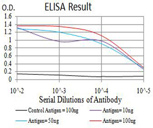 BCL2L10 / Diva Antibody - Black line: Control Antigen (100 ng);Purple line: Antigen (10ng); Blue line: Antigen (50 ng); Red line:Antigen (100 ng)