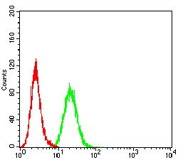 BCL2L10 / Diva Antibody - Flow cytometric analysis of HeLa cells using BCL2L10 mouse mAb (green) and negative control (red).