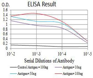 BCL2L2 / Bcl-w Antibody - Black line: Control Antigen (100 ng);Purple line: Antigen (10ng); Blue line: Antigen (50 ng); Red line:Antigen (100 ng)