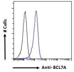 BCL7A Antibody - BCL7A antibody flow cytometric analysis of paraformaldehyde fixed Daudi cells (blue line), permeabilized with 0.5% Triton. Primary incubation 1hr (10ug/ml) followed by Alexa Fluor 488 secondary antibody (1ug/ml). IgG control: Unimmunized goat IgG (black line) followed by Alexa Fluor 488 secondary antibody.