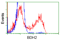 BDH2 Antibody - HEK293T cells transfected with either overexpress plasmid (Red) or empty vector control plasmid (Blue) were immunostained by anti-BDH2 antibody, and then analyzed by flow cytometry.