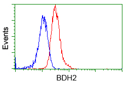 BDH2 Antibody - Flow cytometric Analysis of Jurkat cells, using anti-BDH2 antibody, (Red), compared to a nonspecific negative control antibody, (Blue).