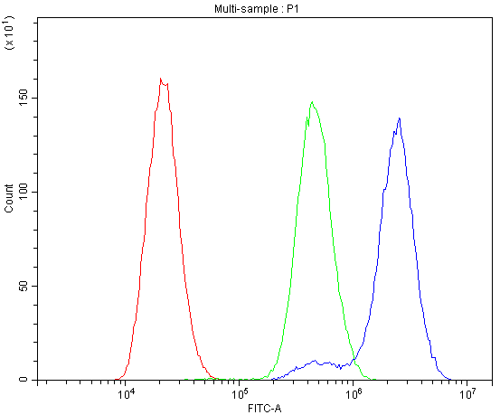 BDNF Antibody - Flow Cytometry analysis of U-87 cells using anti-BDNF antibody. Overlay histogram showing U-87 cells stained with anti-BDNF antibody (Blue line). The cells were blocked with 10% normal goat serum. And then incubated with rabbit anti-BDNF Antibody (1µg/10E6 cells) for 30 min at 20°C. DyLight®488 conjugated goat anti-rabbit IgG (5-10µg/10E6 cells) was used as secondary antibody for 30 minutes at 20°C. Isotype control antibody (Green line) was rabbit IgG (1µg/10E6 cells) used under the same conditions. Unlabelled sample (Red line) was also used as a control.