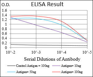 BDNF Antibody - Red: Control Antigen (100ng); Purple: Antigen (10ng); Green: Antigen (50ng); Blue: Antigen (100ng);