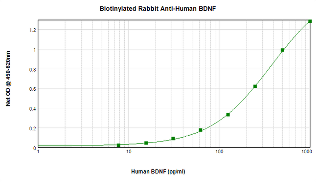 BDNF Antibody - Biotinylated Anti-Human/Murine/Rat BDNF Sandwich ELISA