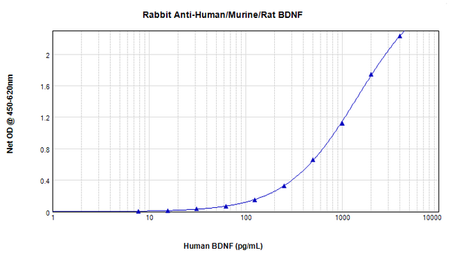 BDNF Antibody - Anti-Human/Murine/Rat BDNF Sandwich ELISA