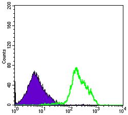 BECN1 / Beclin-1 Antibody - Beclin 1 Antibody in Flow Cytometry (Flow)