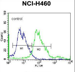 BEND4 Antibody - BEND4 Antibody flow cytometry of NCI-H460 cells (right histogram) compared to a negative control cell (left histogram). FITC-conjugated donkey-anti-rabbit secondary antibodies were used for the analysis.