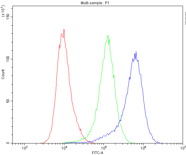 BEST1 / BEST / Bestrophin Antibody - Flow Cytometry analysis of Hela cells using anti-BEST1 antibody. Overlay histogram showing Hela cells stained with anti-BEST1 antibody (Blue line). The cells were blocked with 10% normal goat serum. And then incubated with rabbit anti-BEST1 Antibody (1µg/10E6 cells) for 30 min at 20°C. DyLight®488 conjugated goat anti-rabbit IgG (5-10µg/10E6 cells) was used as secondary antibody for 30 minutes at 20°C. Isotype control antibody (Green line) was rabbit IgG (1µg/10E6 cells) used under the same conditions. Unlabelled sample (Red line) was also used as a control.