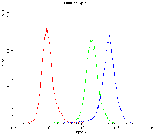 BEST1 / BEST / Bestrophin Antibody - Flow Cytometry analysis of LOVO cells using anti-BEST1 antibody. Overlay histogram showing LOVO cells stained with anti-BEST1 antibody (Blue line). The cells were blocked with 10% normal goat serum. And then incubated with rabbit anti-BEST1 Antibody (1µg/10E6 cells) for 30 min at 20°C. DyLight®488 conjugated goat anti-rabbit IgG (5-10µg/10E6 cells) was used as secondary antibody for 30 minutes at 20°C. Isotype control antibody (Green line) was rabbit IgG (1µg/10E6 cells) used under the same conditions. Unlabelled sample (Red line) was also used as a control.
