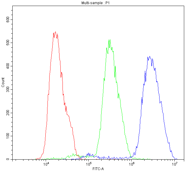 BID Antibody - Flow Cytometry analysis of MCF-7 cells using anti-BID antibody. Overlay histogram showing MCF-7 cells stained with anti-BID antibody (Blue line). The cells were blocked with 10% normal goat serum. And then incubated with rabbit anti-BID Antibody (1µg/10E6 cells) for 30 min at 20°C. DyLight®488 conjugated goat anti-rabbit IgG (5-10µg/10E6 cells) was used as secondary antibody for 30 minutes at 20°C. Isotype control antibody (Green line) was rabbit IgG (1µg/10E6 cells) used under the same conditions. Unlabelled sample (Red line) was also used as a control.