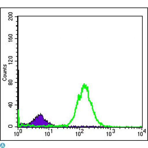 BID Antibody - Flow cytometric (FCM) analysis of HeLa cells using BID Monoclonal Antibody (green) and negative control (purple).