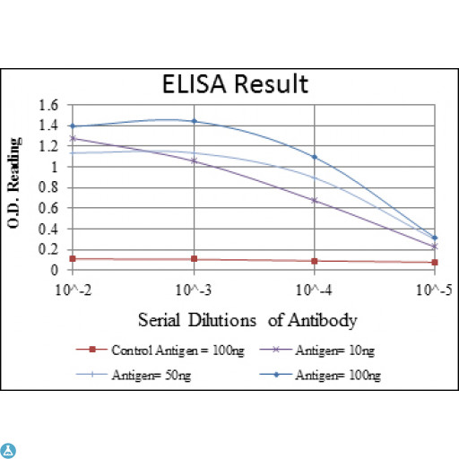 BID Antibody - ELISA analysis of BID antibody.