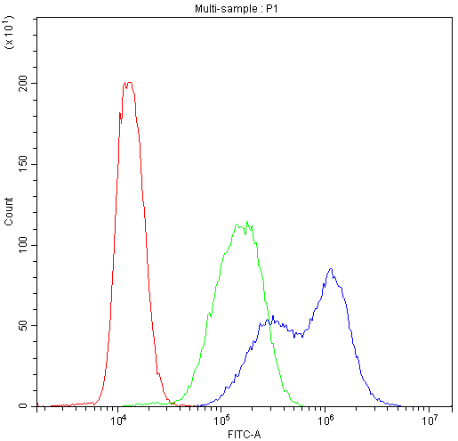 BIK Antibody - Flow Cytometry analysis of THP-1 cells using anti-BIK antibody. Overlay histogram showing THP-1 cells stained with anti-BIK antibody (Blue line). The cells were blocked with 10% normal goat serum. And then incubated with rabbit anti-BIK Antibody (1µg/10E6 cells) for 30 min at 20°C. DyLight®488 conjugated goat anti-rabbit IgG (5-10µg/10E6 cells) was used as secondary antibody for 30 minutes at 20°C. Isotype control antibody (Green line) was rabbit IgG (1µg/10E6 cells) used under the same conditions. Unlabelled sample (Red line) was also used as a control.