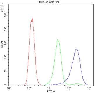 BIK Antibody - Flow Cytometry analysis of A431 cells using anti-BIK antibody. Overlay histogram showing A431 cells stained with anti-BIK antibody (Blue line). The cells were blocked with 10% normal goat serum. And then incubated with rabbit anti-BIK Antibody (1µg/10E6 cells) for 30 min at 20°C. DyLight®488 conjugated goat anti-rabbit IgG (5-10µg/10E6 cells) was used as secondary antibody for 30 minutes at 20°C. Isotype control antibody (Green line) was rabbit IgG (1µg/10E6 cells) used under the same conditions. Unlabelled sample (Red line) was also used as a control.