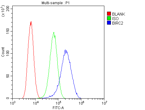 BIRC2 / cIAP1 Antibody - Flow Cytometry analysis of U20S cells using anti-cIAP1 antibody. Overlay histogram showing U20S cells stained with anti-cIAP1 antibody (Blue line). The cells were blocked with 10% normal goat serum. And then incubated with rabbit anti-cIAP1 Antibody (1µg/10E6 cells) for 30 min at 20°C. DyLight®488 conjugated goat anti-rabbit IgG (5-10µg/10E6 cells) was used as secondary antibody for 30 minutes at 20°C. Isotype control antibody (Green line) was rabbit IgG (1µg/10E6 cells) used under the same conditions. Unlabelled sample (Red line) was also used as a control.