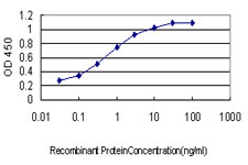 BIRC5 / Survivin Antibody - Detection limit for recombinant GST tagged BIRC5 is approximately 0.03 ng/ml as a capture antibody.