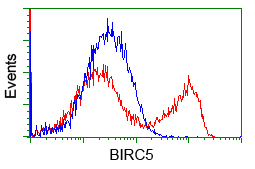 BIRC5 / Survivin Antibody - HEK293T cells transfected with either overexpress plasmid (Red) or empty vector control plasmid (Blue) were immunostained by anti-BI antibody, and then analyzed by flow cytometry.