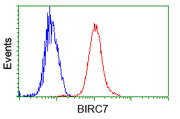 BIRC7 / Livin Antibody - Flow cytometric analysis of Jurkat cells, using anti-BI antibody, (Red) compared to a nonspecific negative control antibody (Blue).