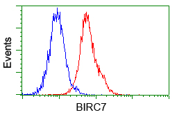 BIRC7 / Livin Antibody - Flow cytometry of Jurkat cells, using anti-BI antibody, (Red) compared to a nonspecific negative control antibody (Blue).