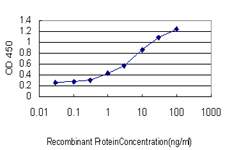 BLIMP1 / PRDM1 Antibody - Detection limit for recombinant GST tagged PRDM1 is approximately 0.3 ng/ml as a capture antibody.